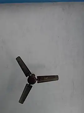 Snapshot of 67sanju chatting on February 28, 2026, 4:46 am 67sanju online show from February 28, 2026, 4:46 am