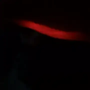 yaocaobi8 online show from March 19, 2026, 10:25 pm