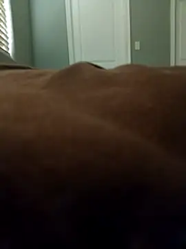 Snapshot of lilbbcxoxo chatting on February 27, 2026, 4:18 pm lilbbcxoxo online show from February 27, 2026, 4:18 pm