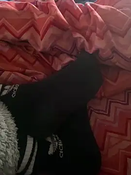 DAPHNE  00 online show from March 7, 2026, 9:17 am