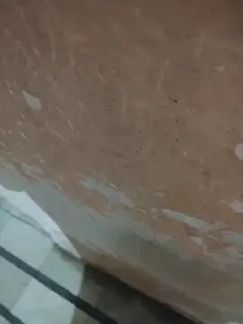 Tamillaxmi12 online show from April 14, 2026, 3:40 pm