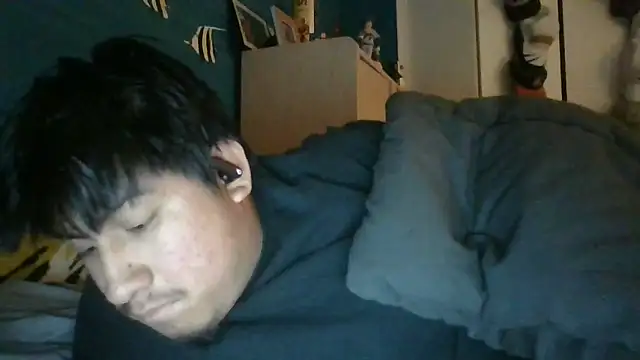 Snapshot of aloking2004 chatting on May 29, 2026, 2:42 am aloking2004 online show from May 29, 2026, 2:42 am