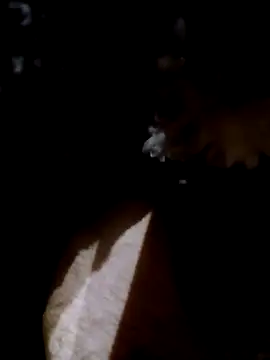 Adix 02six online show from April 14, 2026, 1:55 am