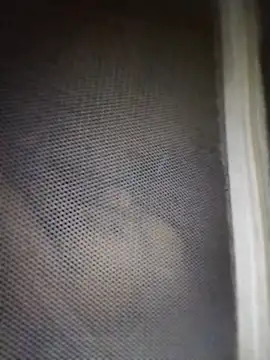 mylove-cute online show from April 11, 2026, 9:52 pm