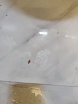 Snapshot of Splashyblackboard2 chatting on March 13, 2026, 8:15 pm Splashyblackboard2 online show from March 13, 2026, 8:15 pm