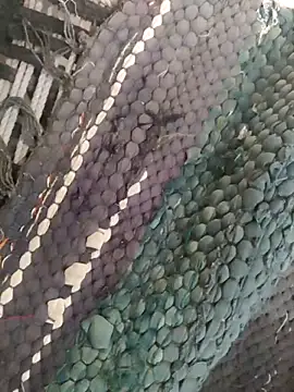 King night1 online show from April 12, 2026, 1:21 am