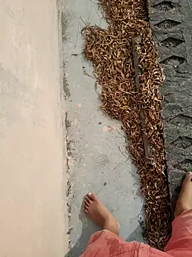 Snapshot of Desii_rockstarr chatting on March 14, 2026, 2:50 am Desii rockstarr online show from March 14, 2026, 2:50 am