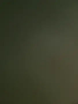 wesleymadeira online show from March 24, 2026, 1:32 am