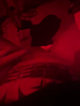 Amsterdamwild online show from March 13, 2026, 12:17 am