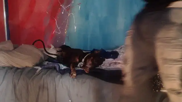 Snapshot of punkyslut69 chatting on April 14, 2026, 6:25 pm punkyslut69 online show from April 14, 2026, 6:25 pm