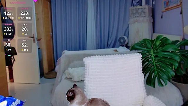 Snapshot of JaeHartMorn chatting on April 20, 2026, 8:32 pm JaeHartMorn online show from April 20, 2026, 8:32 pm