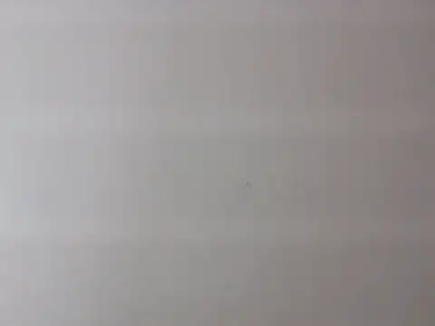 Zurii  online show from April 12, 2026, 7:52 pm