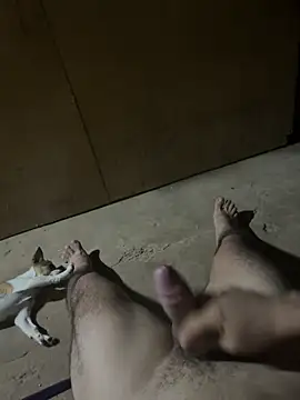 calientechicoloko online show from March 26, 2026, 11:32 pm