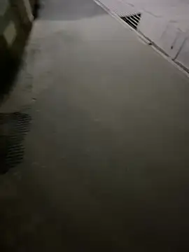 Snapshot of Wildlovee chatting on April 12, 2026, 8:58 pm Wildlovee online show from April 12, 2026, 8:58 pm