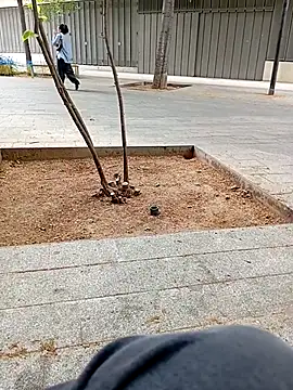 biga00 online show from April 11, 2026, 3:38 pm