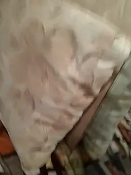 Snapshot of perfect_vicy chatting on April 7, 2026, 7:03 pm perfect vicy online show from April 7, 2026, 7:03 pm