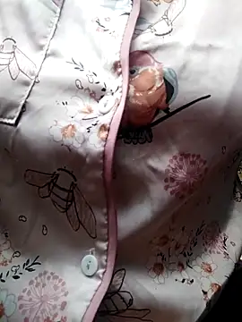 Snapshot of giahan1 chatting on April 10, 2026, 12:49 am giahan1 online show from April 10, 2026, 12:49 am