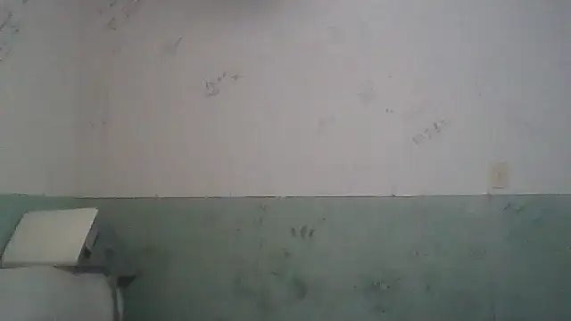 Toytroy197413 online show from April 17, 2026, 3:53 am