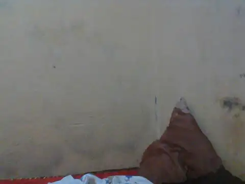 Rerpuss1 online show from April 12, 2026, 8:25 pm