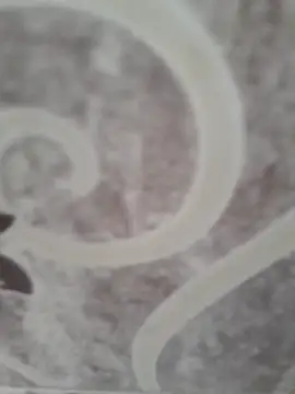 Snapshot of sk022 chatting on April 15, 2026, 5:14 am sk022 online show from April 15, 2026, 5:14 am