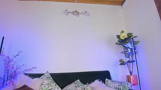 megan shyne online show from June 22, 2026, 4:53 am