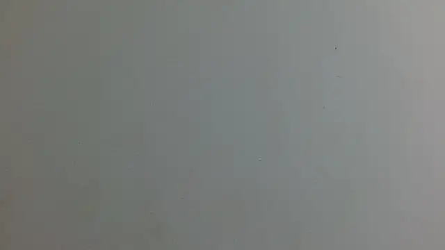 Snapshot of soofia_1609 chatting on May 5, 2026, 8:17 pm soofia 1609 online show from May 5, 2026, 8:17 pm