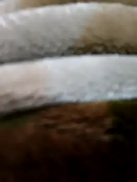 beast 0003 online show from April 29, 2026, 3:49 pm