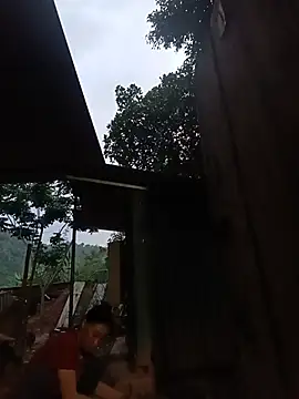 Jinli 01 online show from May 27, 2026, 11:51 am