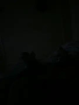 Snapshot of Timmy_T chatting on May 15, 2026, 1:12 am Timmy T online show from May 15, 2026, 1:12 am
