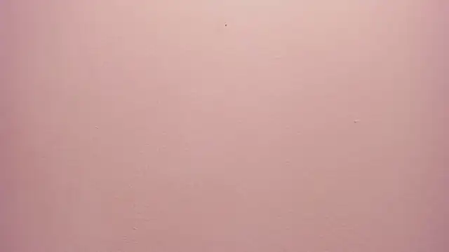 Snapshot of _anais_rose_ chatting on May 30, 2026, 12:24 pm anais rose online show from May 30, 2026, 12:24 pm