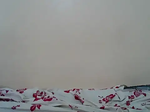 Hornysmoker20 online show from July 7, 2026, 6:47 am