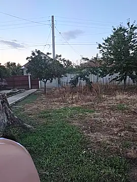 Diana Diafan online show from July 25, 2026, 5:54 pm