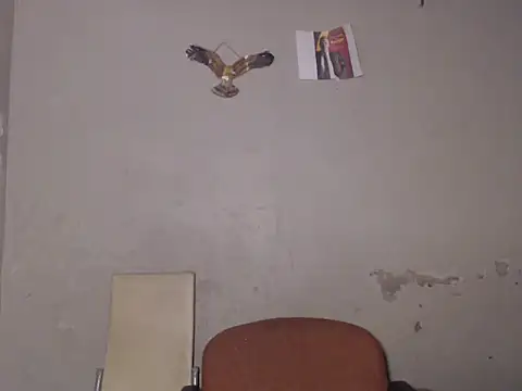 Snapshot of Frank_X_Husle chatting on August 3, 2026, 7:39 pm Frank X Husle online show from August 3, 2026, 7:39 pm