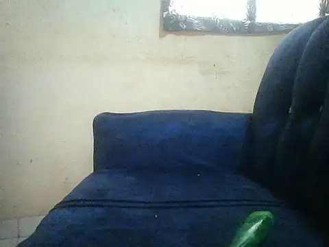 Snapshot of HomeBully chatting on July 8, 2026, 12:09 pm HomeBully online show from July 8, 2026, 12:09 pm