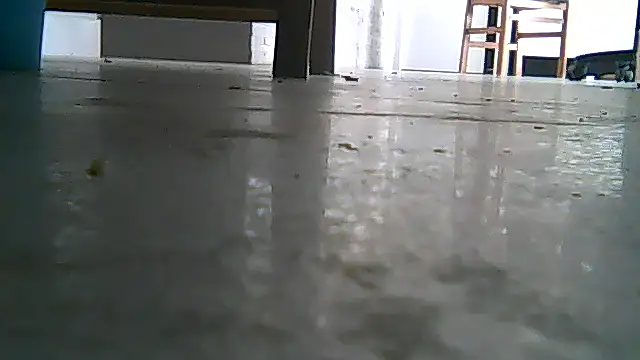 Snapshot of SirFrankonde chatting on August 1, 2026, 12:48 pm SirFrankonde online show from August 1, 2026, 12:48 pm
