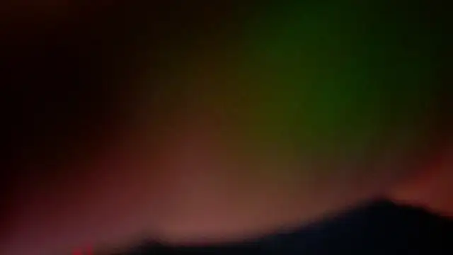 Lizz s online show from July 8, 2026, 2:49 am
