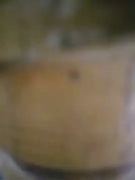 Snapshot of Mian_Khalifa_143 chatting on July 25, 2026, 6:00 am Mian Khalifa 143 online show from July 25, 2026, 6:00 am