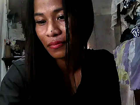 Snapshot of simplytrans chatting on July 12, 2026, 1:07 am simplytrans online show from July 12, 2026, 1:07 am