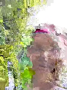 Single-M0m69 online show from July 21, 2026, 10:50 am