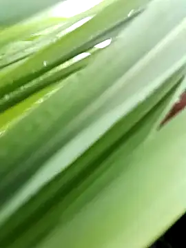 xxnunaxx- online show from July 24, 2026, 3:04 am