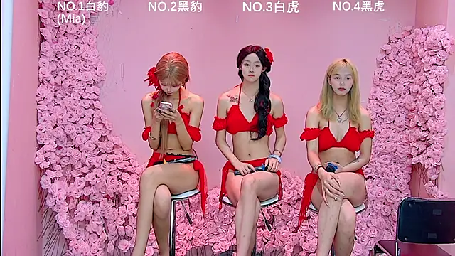 MS-3344 online show from July 28, 2026, 12:34 pm