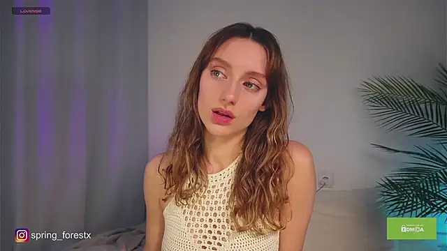 spring forest online show from November 17, 2025, 11:49 am