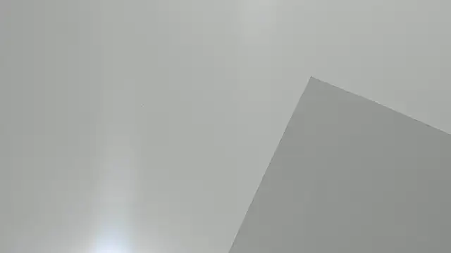 SandraGoldstein online show from February 23, 2025, 1:13 am