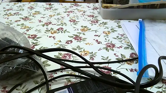 Bigjacky online show from September 9, 2025, 4:39 pm