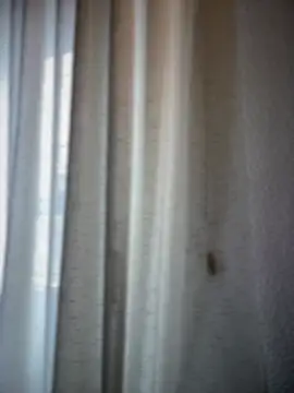 Chic desire online show from March 20, 2026, 10:09 am