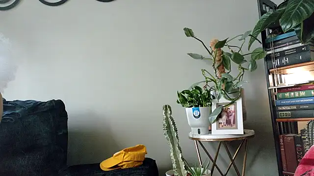 bestofdoseswirls online show from April 8, 2026, 6:30 pm