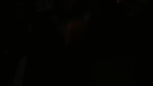 blkwanker online show from January 23, 2025, 4:30 am