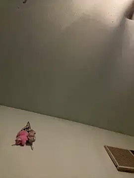 Snapshot of Slumlords chatting on March 11, 2026, 3:45 am Slumlords online show from March 11, 2026, 3:45 am