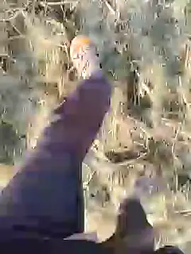 ThethunderPo online show from December 19, 2024, 3:07 am