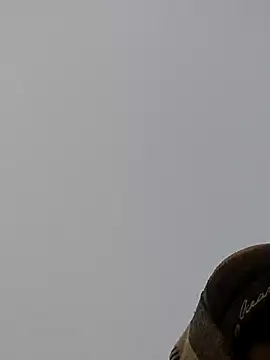 ThethunderPo online show from December 27, 2024, 1:43 am